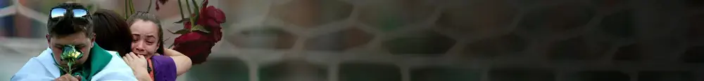 התרסקות המטוס של שאפקואנסה (עיבוד תמונה)