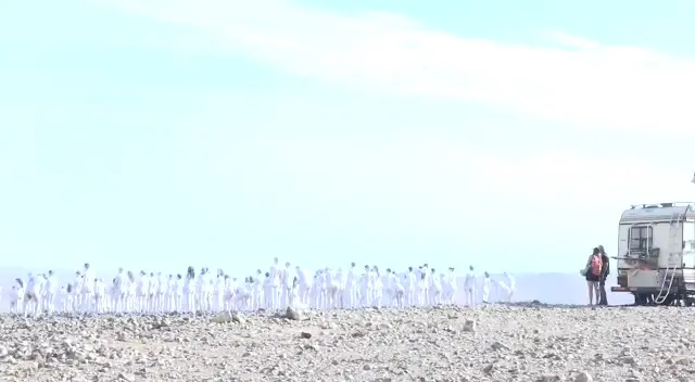 מיצג הצילום של ספנסר טוניק בערד