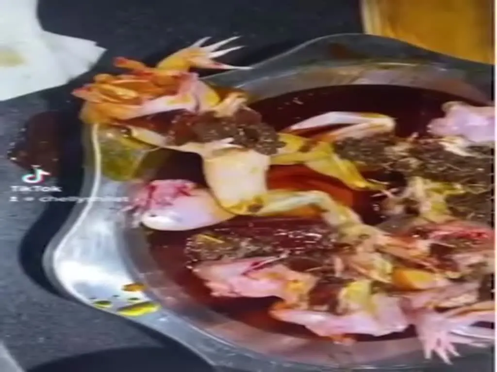הארוחה קמה לתחיה ויצאה מהצלחת