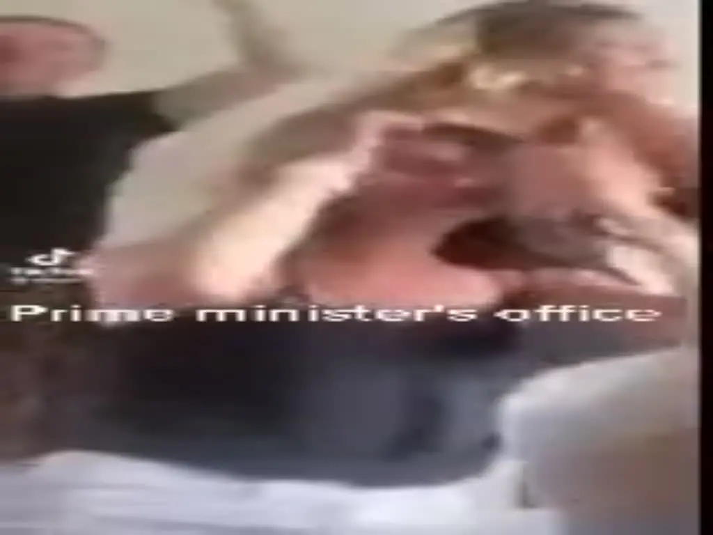 הסרטון הלוהט של ראש ממשלת פינלנד