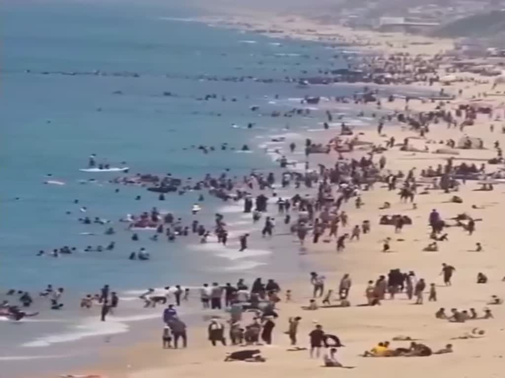 העזתים נהרו לחוף בדיר אל-בלח 