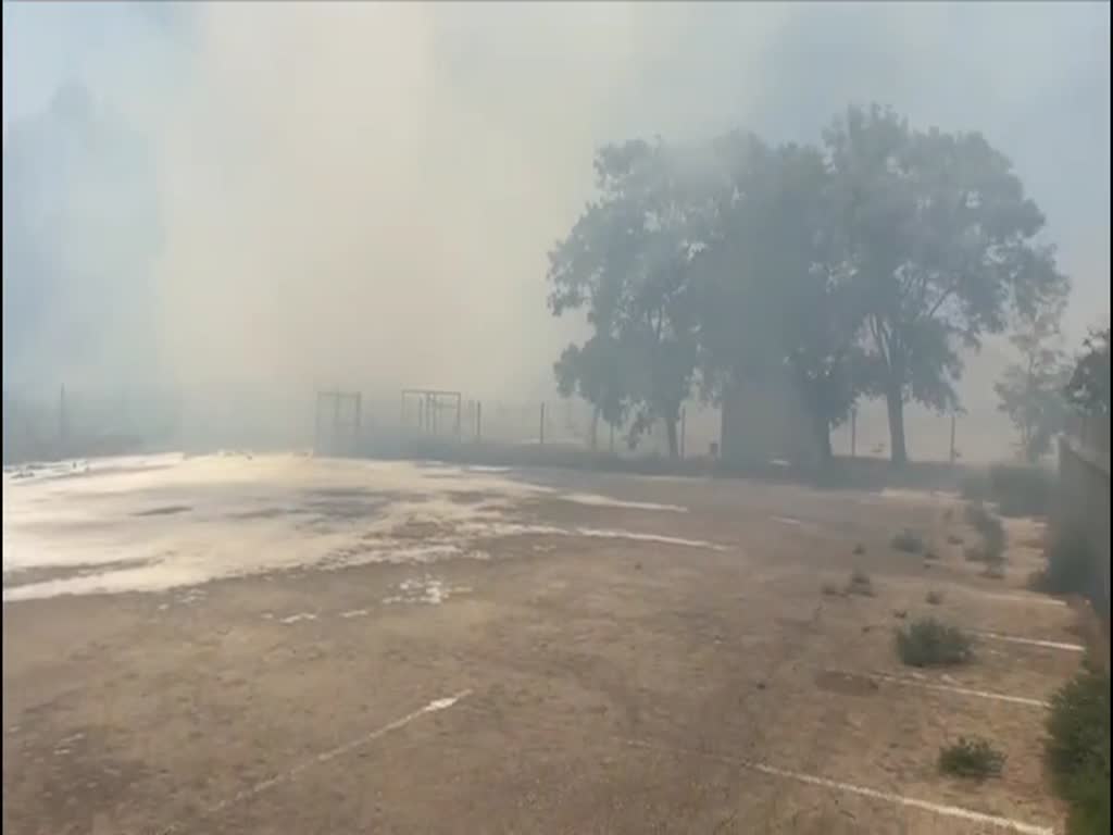 שריפה בסמוך לקיבוץ מסילות בעמק בית שאן שריפה בסמוך לקיבוץ מסילות בעמק בית שאן
