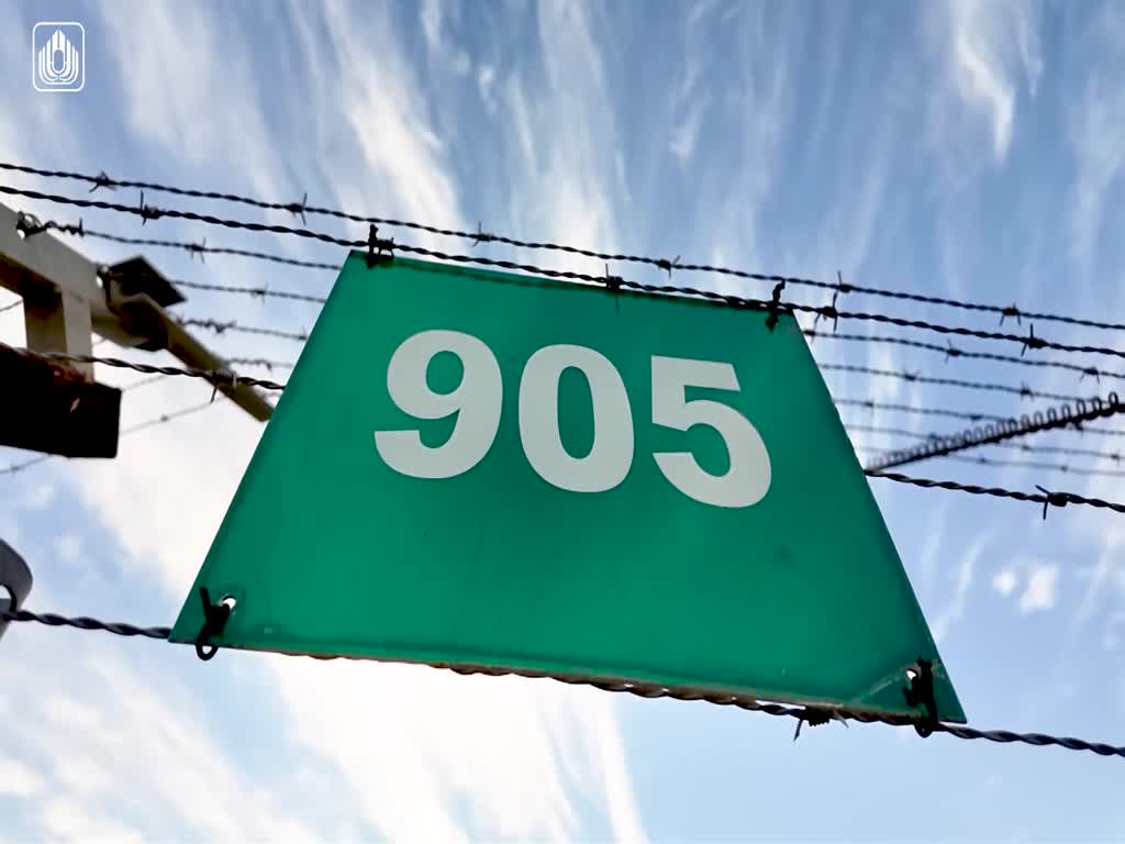 השמדת שדות מוקשים במרחב הגבול עם ירדן