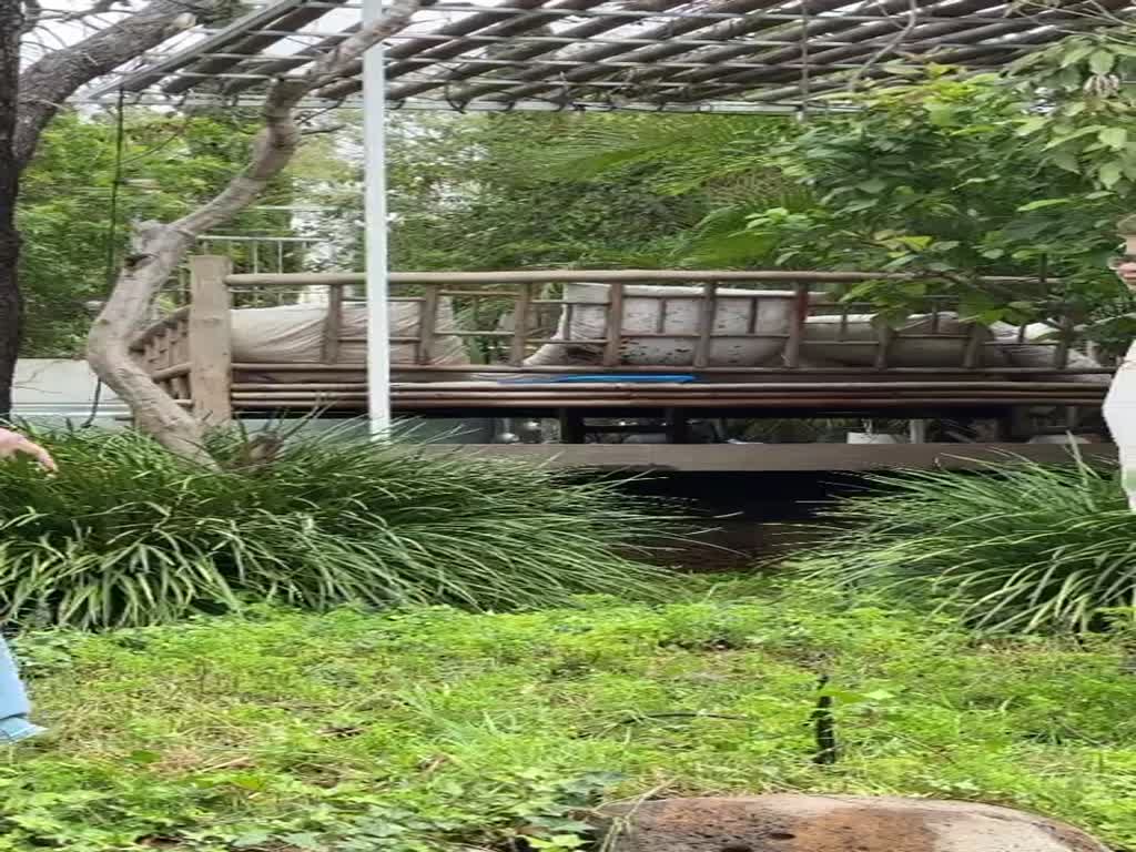 ניר קליגר ומאיה בוסקילה