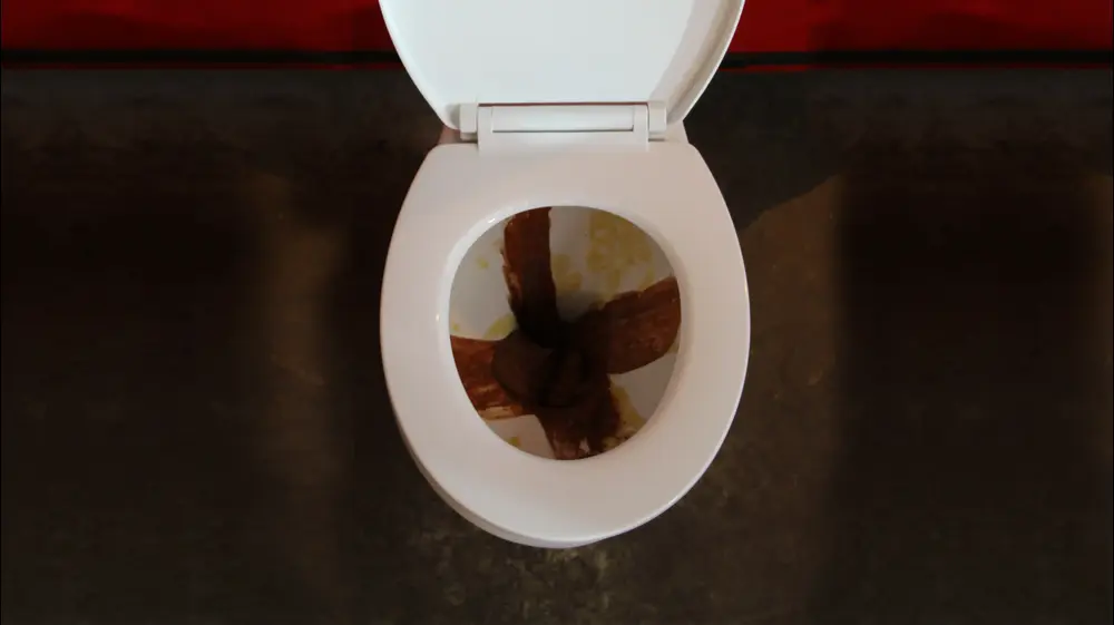 קינוח אסלה. גל קולוג, 