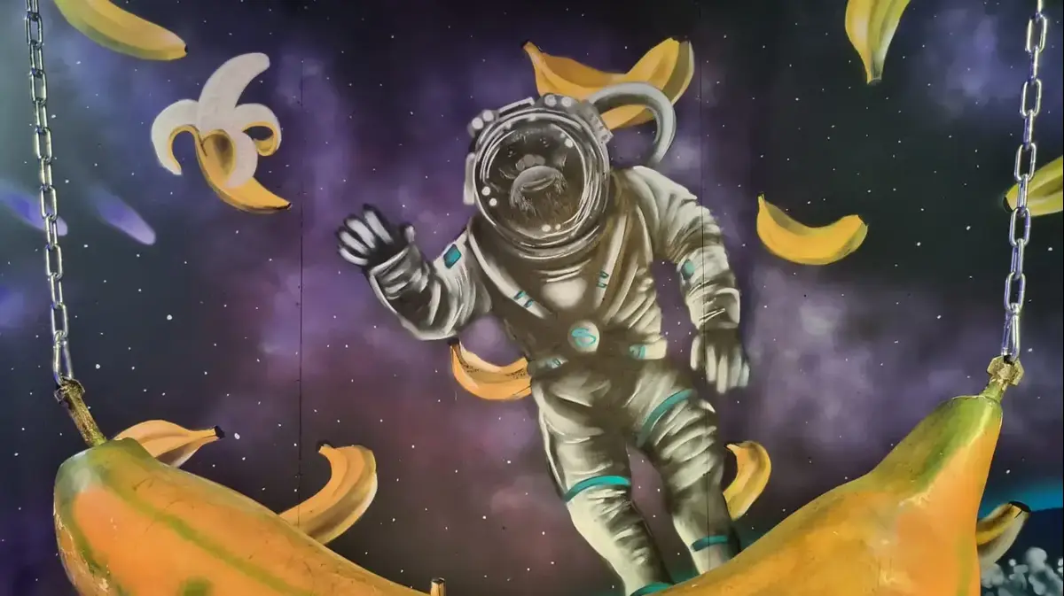 אטרקציות לקיץ ב-10 שקלים ברחבי הארץ בוואלה! תיירות - Vimarsana News