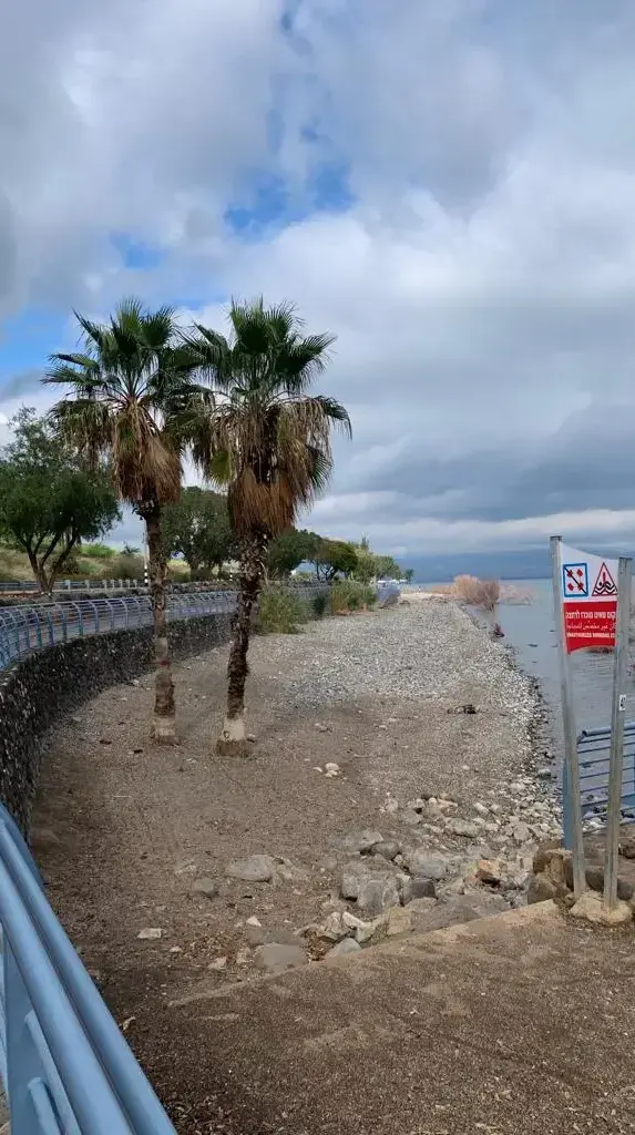 חוף השקמים בכנרת, אפריל 2016 חוף השקמים בכנרת, אפריל 2016