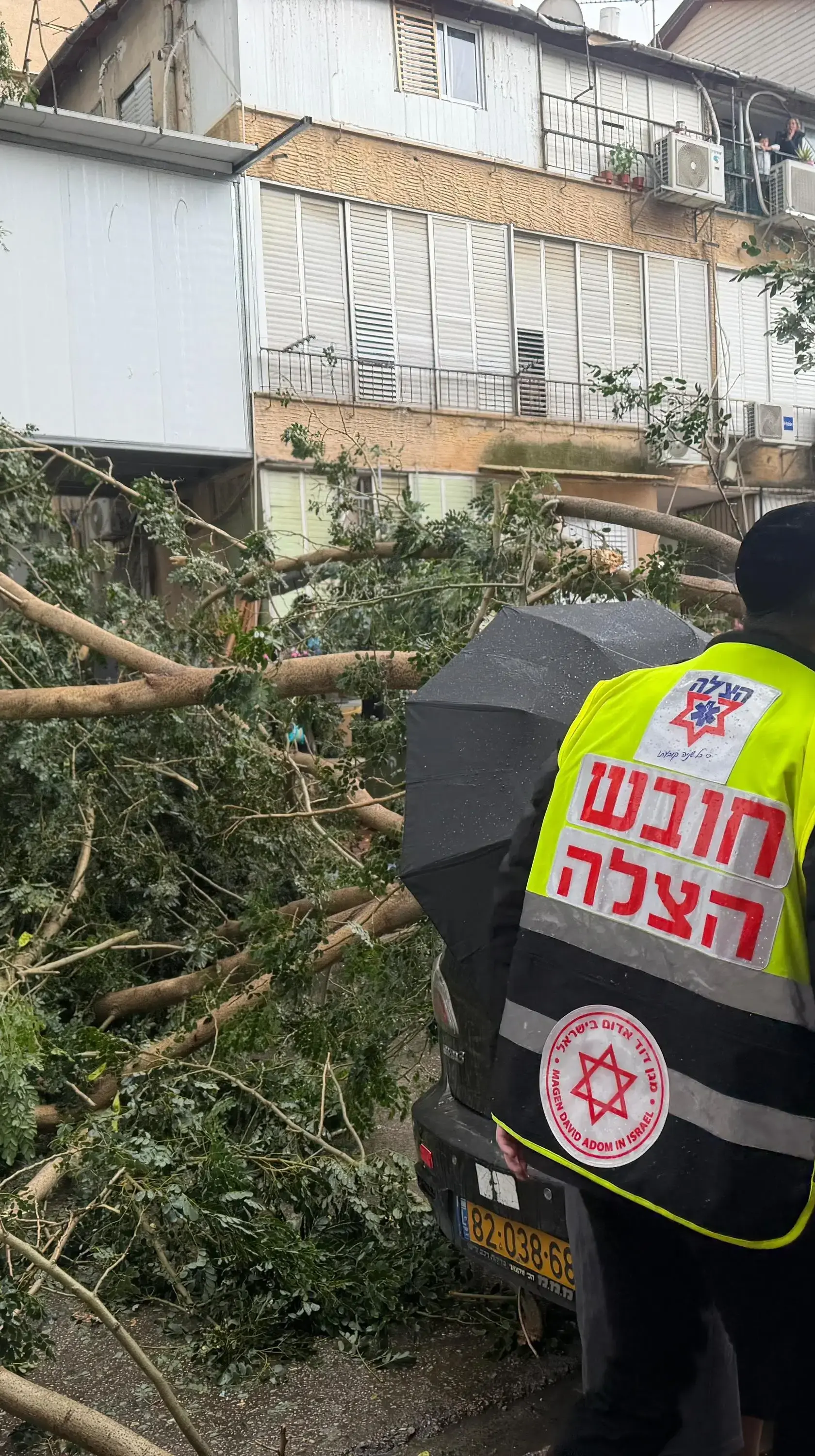 קריסת עץ באשקלון, 09.01.2026 קריסת עץ באשקלון, 09.01.2026