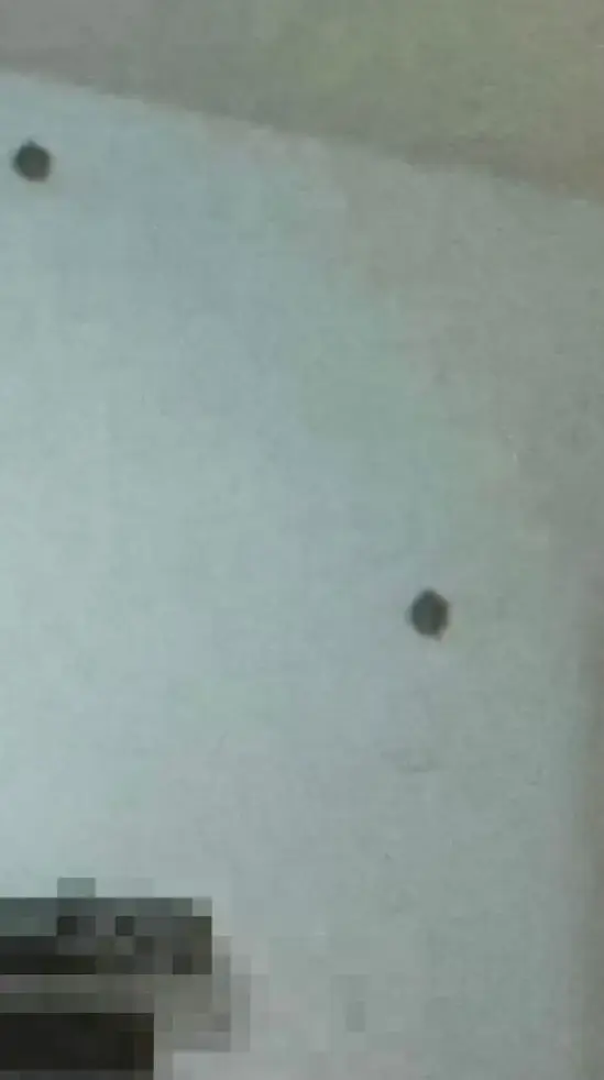 הקיר הירוי הקיר הירוי