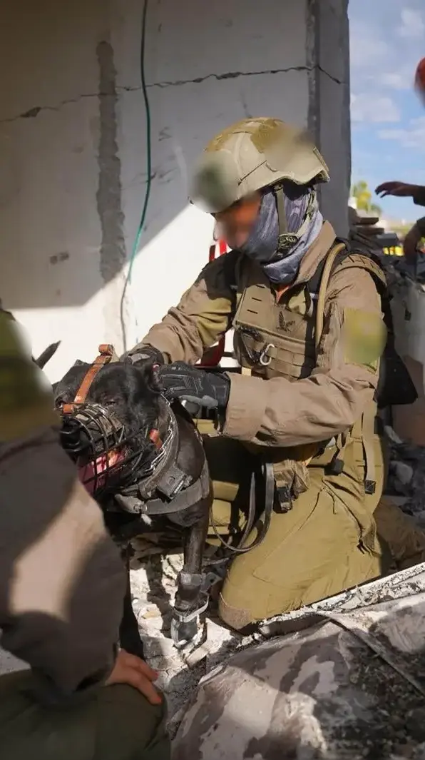 צה״ל חושף את נתוני הנשים במסגרת היום האישה הבינלאומי ברקע מבצע "שאגת הארי" צה״ל חושף את נתוני הנשים במסגרת היום האישה הבינלאומי ברקע מבצע "שאגת הארי"