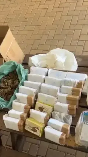 קוקאין בשווי מיליוני שקלים נחשף על ידי כלבה משטרתית קוקאין בשווי מיליוני שקלים נחשף על ידי כלבה משטרתית