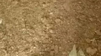 לול תרנגולות ספג פגיעה ישירה של פצצת מרגמה
