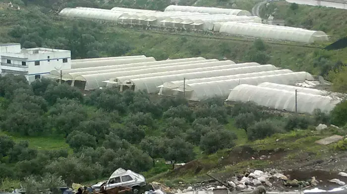 טנקים של צבא סוריה שהוצבו סביב העיר בניאס, 11 באפריל 2011 טנקים של צבא סוריה שהוצבו סביב העיר בניאס, 11 באפריל 2011