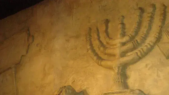 דניאל לוין דניאל לוין