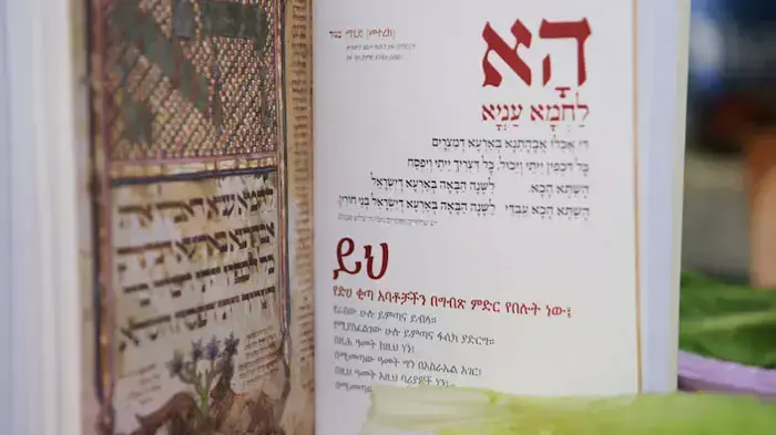 כאלף עולים מאתיופיה, שהגיעו ארצה בעקבות החלטת הממשלה, מציינים את ערב פסח לראשונה בישראל, אפריל 2011