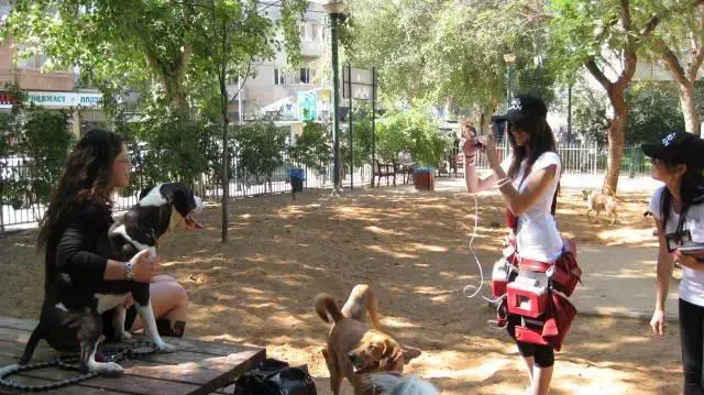 פעילות קד"מ של פורינה בתל אביב, אפריל 2011 פעילות קד"מ של פורינה בתל אביב, אפריל 2011