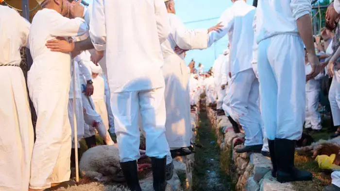 זבח פסח , זבח השומרונים בהר גרזים, אפריל 2011