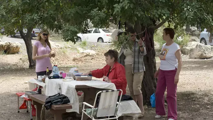 נופשים ומטיילים בפארקים, פסח 2011