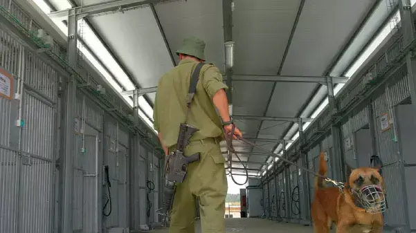 חייל צה"ל וכלב ביחידת הכלבנים "עוקץ"