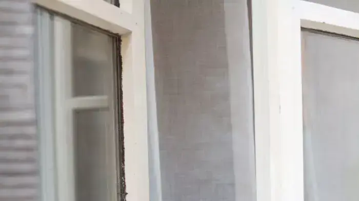חתול ליד חלון פתוח חתול ליד חלון פתוח