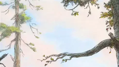פו הדוב פו הדוב