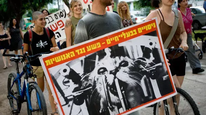 פעילי זכויות בעלי חיים בהפגנת מחאה נגד התעללות וניסויים בחתולים, 26 אוגוסט 2010 פעילי זכויות בעלי חיים בהפגנת מחאה נגד התעללות וניסויים בחתולים, 26 אוגוסט 2010