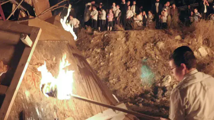ל"ג בעומר 2011 ל"ג בעומר 2011
