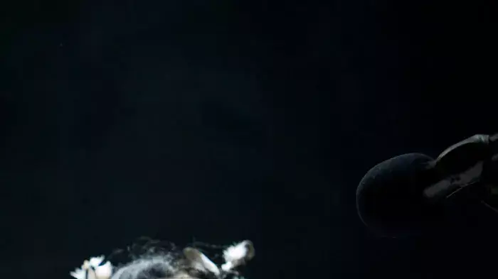pj harvey 4 pj harvey 4
