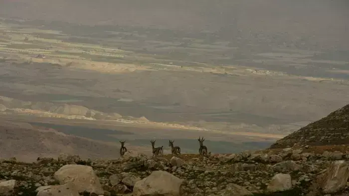 בקעת הירדן בקעת הירדן