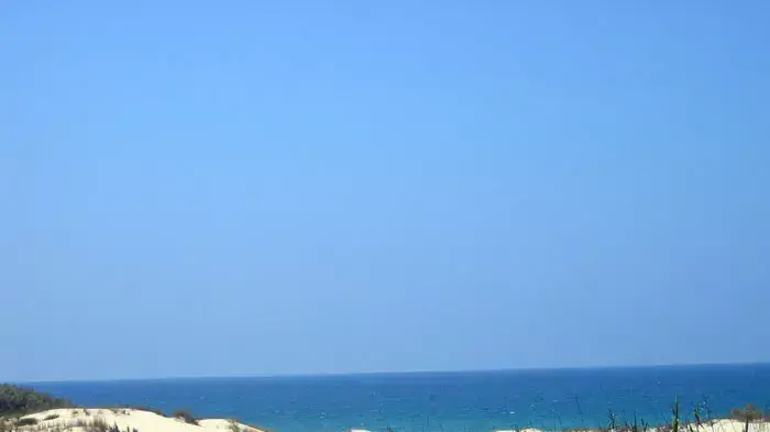 שמורת ניצנים שמורת ניצנים