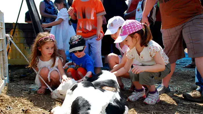 תחרות מלכת היופי של הפרות בישראל,בבאר טוביה יוני 2011