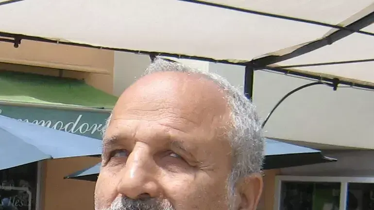 ארז ביטון ארז ביטון