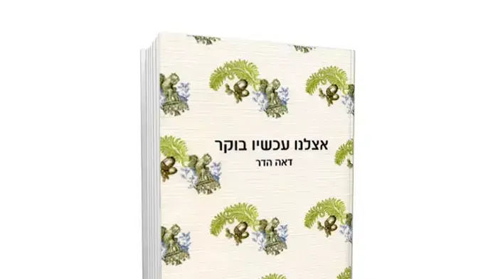 כריכת הספר אצלנו עכשיו בוקר - דאה הדר כריכת הספר אצלנו עכשיו בוקר - דאה הדר