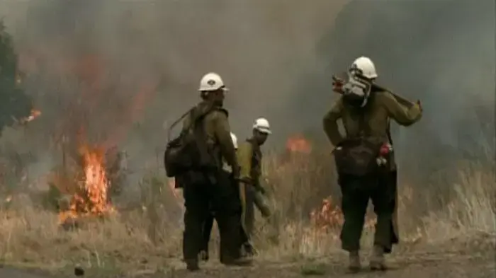 אחרי 15 יום: שריפת הענק ממשיכה לבעור