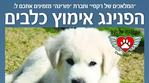 כרזת אירוע יום אימוץ בשיתוף מספר עמותות, 18 יוני 2011 בשיתוף חברת פורינה ועמותת 'המלאכים של רקסי' כרזת אירוע יום אימוץ בשיתוף מספר עמותות, 18 יוני 2011 בשיתוף חברת פורינה ועמותת 'המלאכים של רקסי'