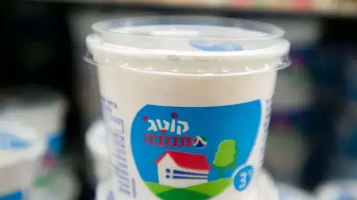 גבינת קוטג' גבינת קוטג'