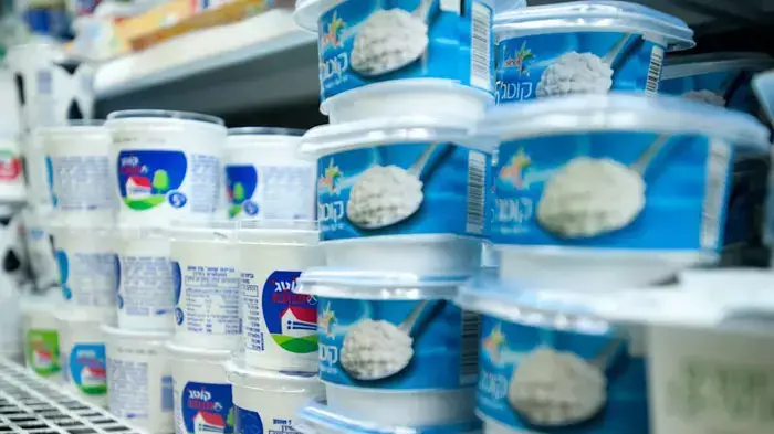 גבינת קוטג' גבינת קוטג'