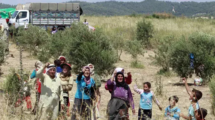 פליטים סורים בטורקיה, יוני 2011 פליטים סורים בטורקיה, יוני 2011