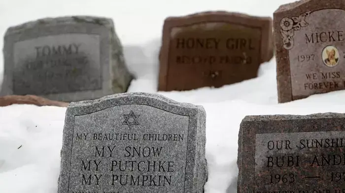 Headstones marking the graves of some of Rhona Levy's pets sit at the Hartsdale Pet Cemetery in Hartsdale, N.Y, 19 Jan 2011 Headstones marking the graves of some of Rhona Levy's pets sit at the Hartsdale Pet Cemetery in Hartsdale, N.Y, 19 Jan 2011