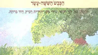 עטיפת האלבום "הכבש השישה עשר" של אמנים שונים עטיפת האלבום "הכבש השישה עשר" של אמנים שונים