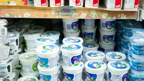 גבינת קוטג' גבינת קוטג'