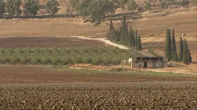 מתוך "הקיבוץ" מתוך "הקיבוץ"