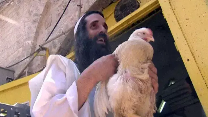 ויכוח רבני: תרנגול עם 4 רגליים - כשר?