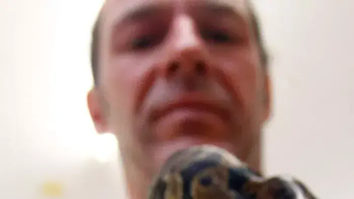 נחש פיתון בן שנה שנולד עם שני ראשים, שטוטגרט, גרמניה, 4 יולי 2011