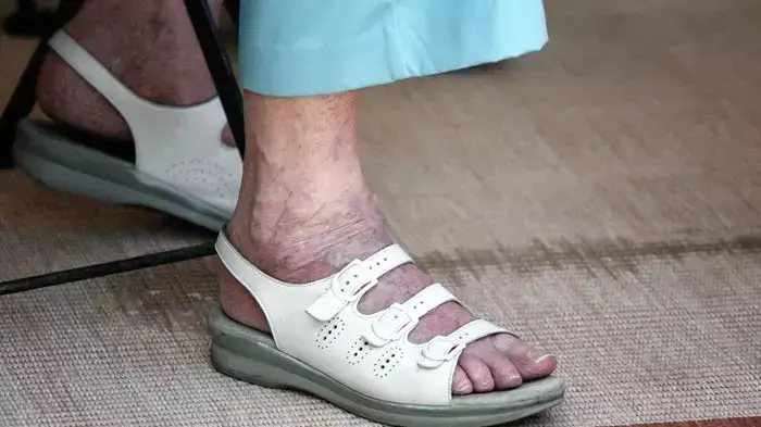 אילוסטרציה אילוסטרציה
