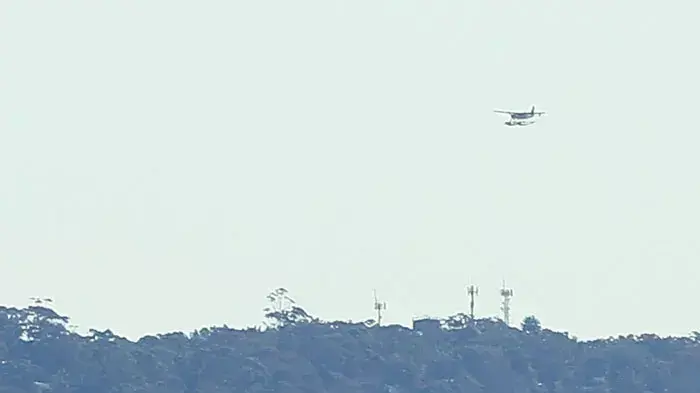 לוויתנים מסוג לוויתן גדול ספיר ליד סידני, אוסטרליה, בתחילת עונת נדידת הלוויתנים צפונה, 23 יוני 2011