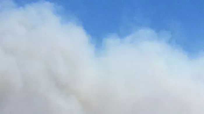 שריפה גדולה בעין תינה ברמת הגולן, יולי 2011