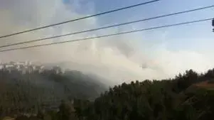 שריפה גדולה ביער ירושלים, יולי 2011 שריפה גדולה ביער ירושלים, יולי 2011