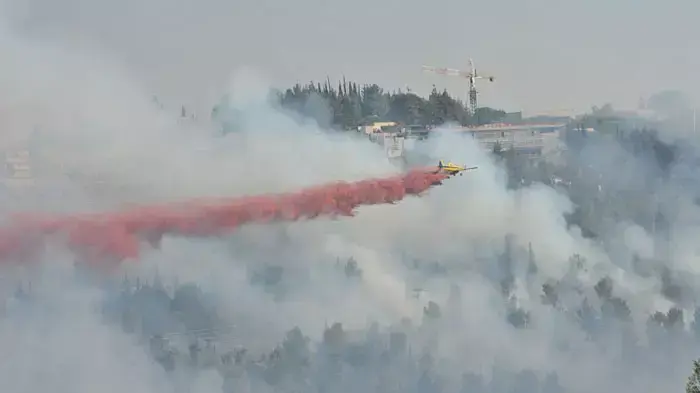 שריפה גדולה ביער ירושלים, יולי 2011