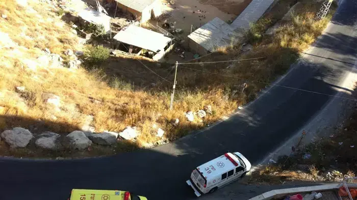 שריפה גדולה ביער ירושלים, יולי 2011 שריפה גדולה ביער ירושלים, יולי 2011